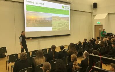 Year 7 Dig Into the World of Green Careers