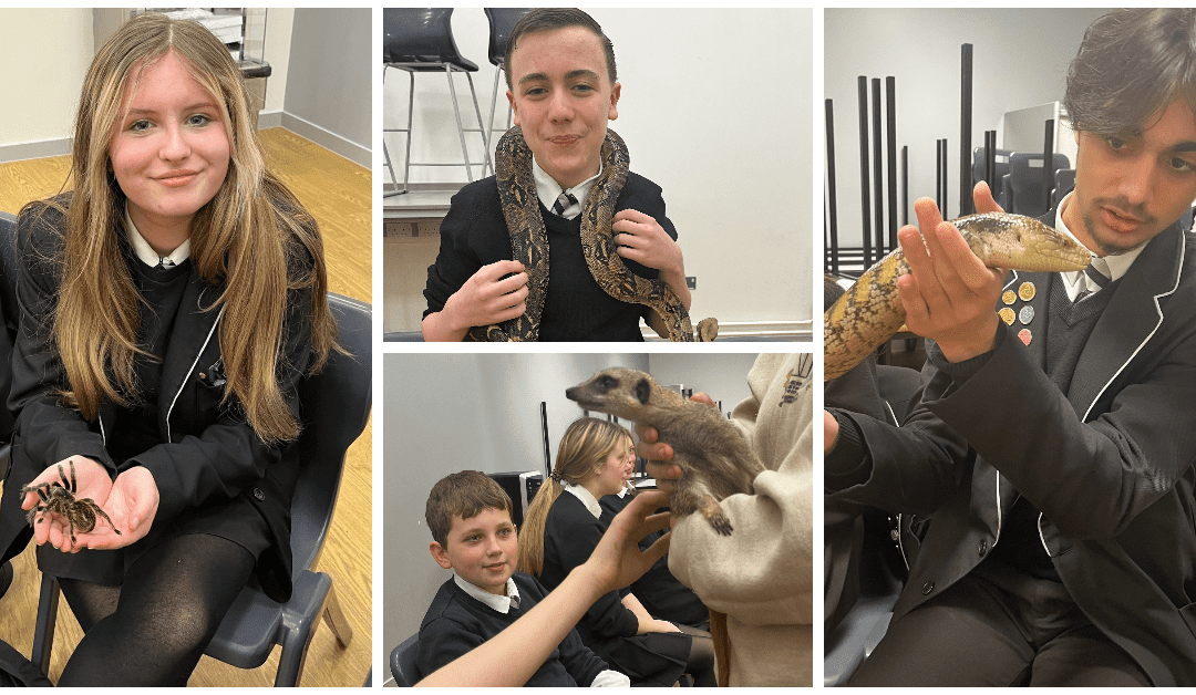 British Science Week at Laurus Ryecroft