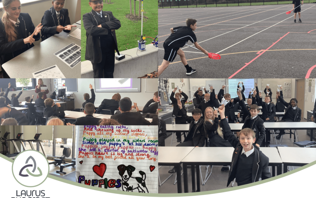 Enhancing Experiences with Year 7