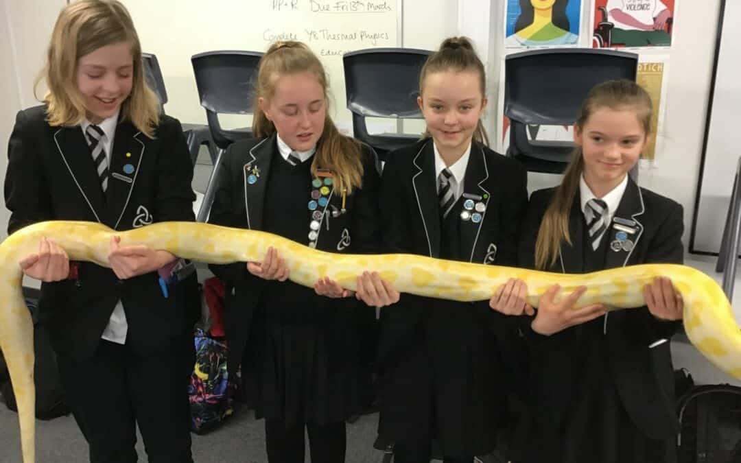Students mark Science Week with some unusual visitors