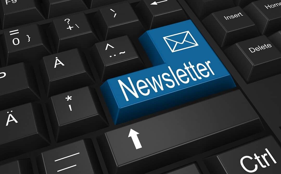 Latest edition of School Council Newsletter available to read now